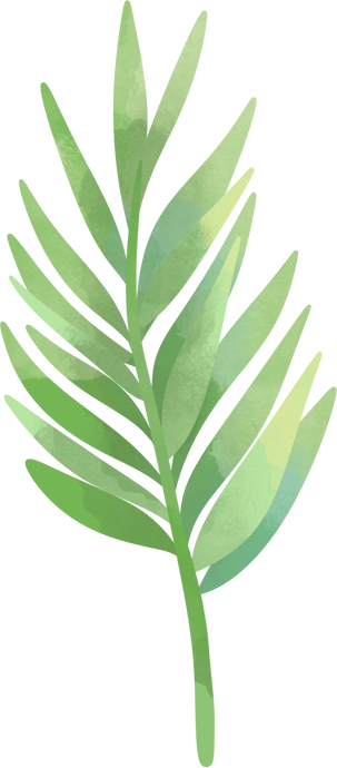 Cartoon tropic illustration, leaves