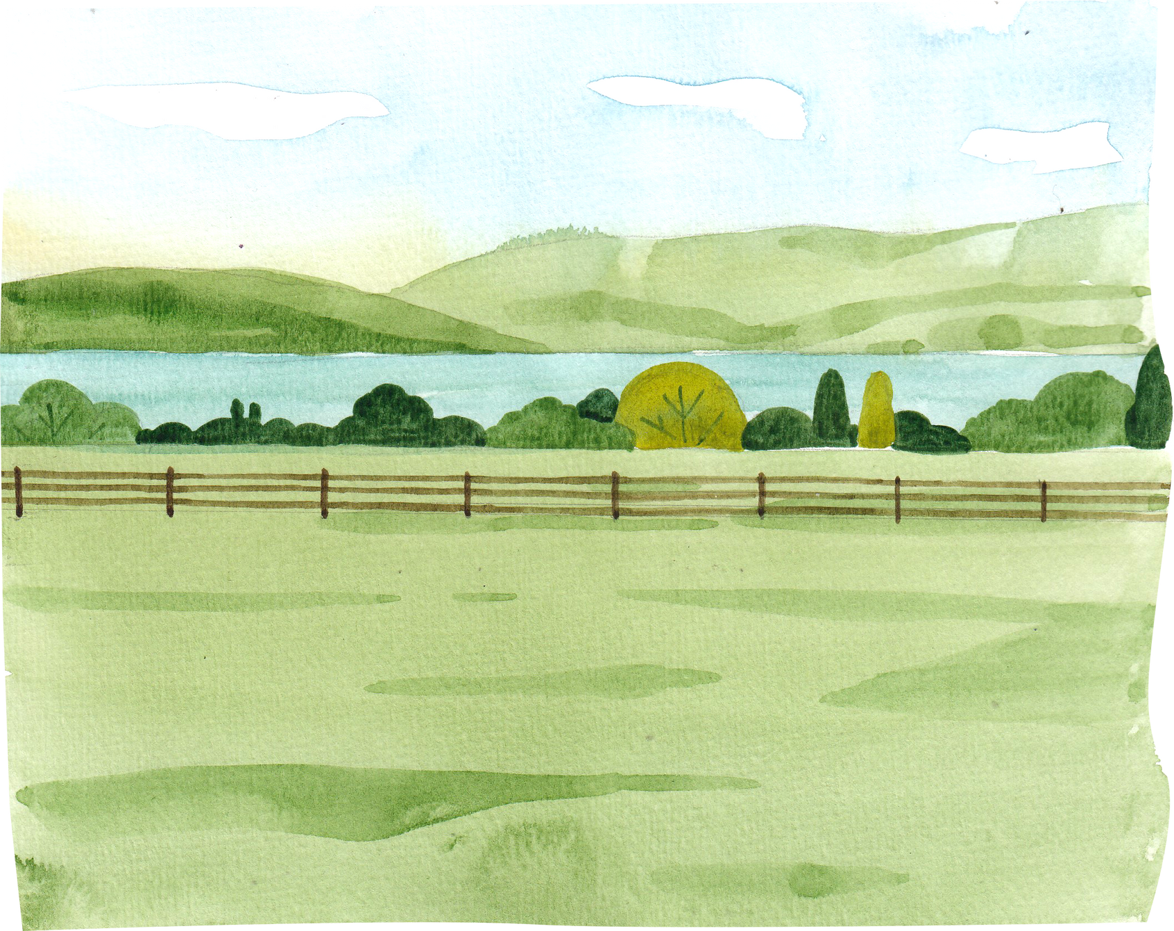 Watercolor Field Illustration